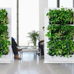 De Duurzame en Stijlvolle Groene Room Divider.