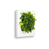 Mobilane_LivePicture_1_White_45_LR