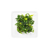 Mobilane_LivePicture_1_White_Front_LR