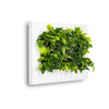 Mobilane_LivePicture_2_White_45_LR