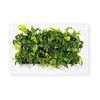 Mobilane_LivePicture_2_White_Front_LR