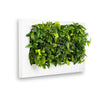 Mobilane_LivePicture_3_White_45_LR