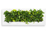 Mobilane_LivePicture_4_White_Front_LR