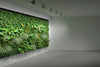 eur-erco-green-wall-lighting
