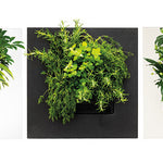 Kunstplanten zijn statisch. Echte planten maken het verschil.